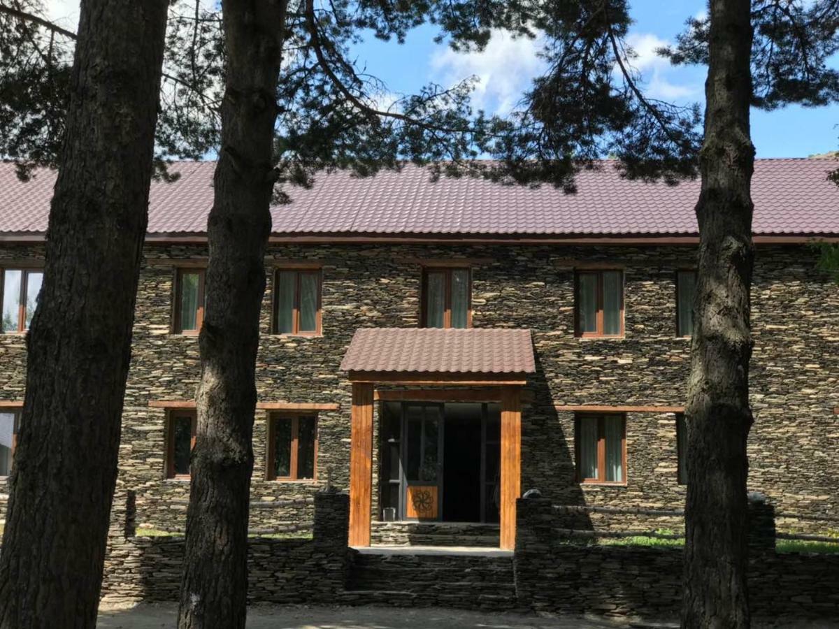 Hotel Complex Nabadi Omalo Εξωτερικό φωτογραφία